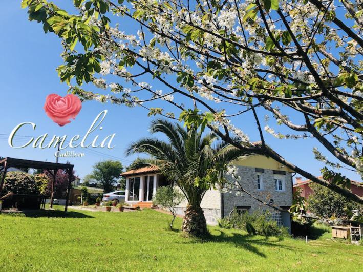 Camelia Casina Rural Villa Albuerne Eksteriør bilde
